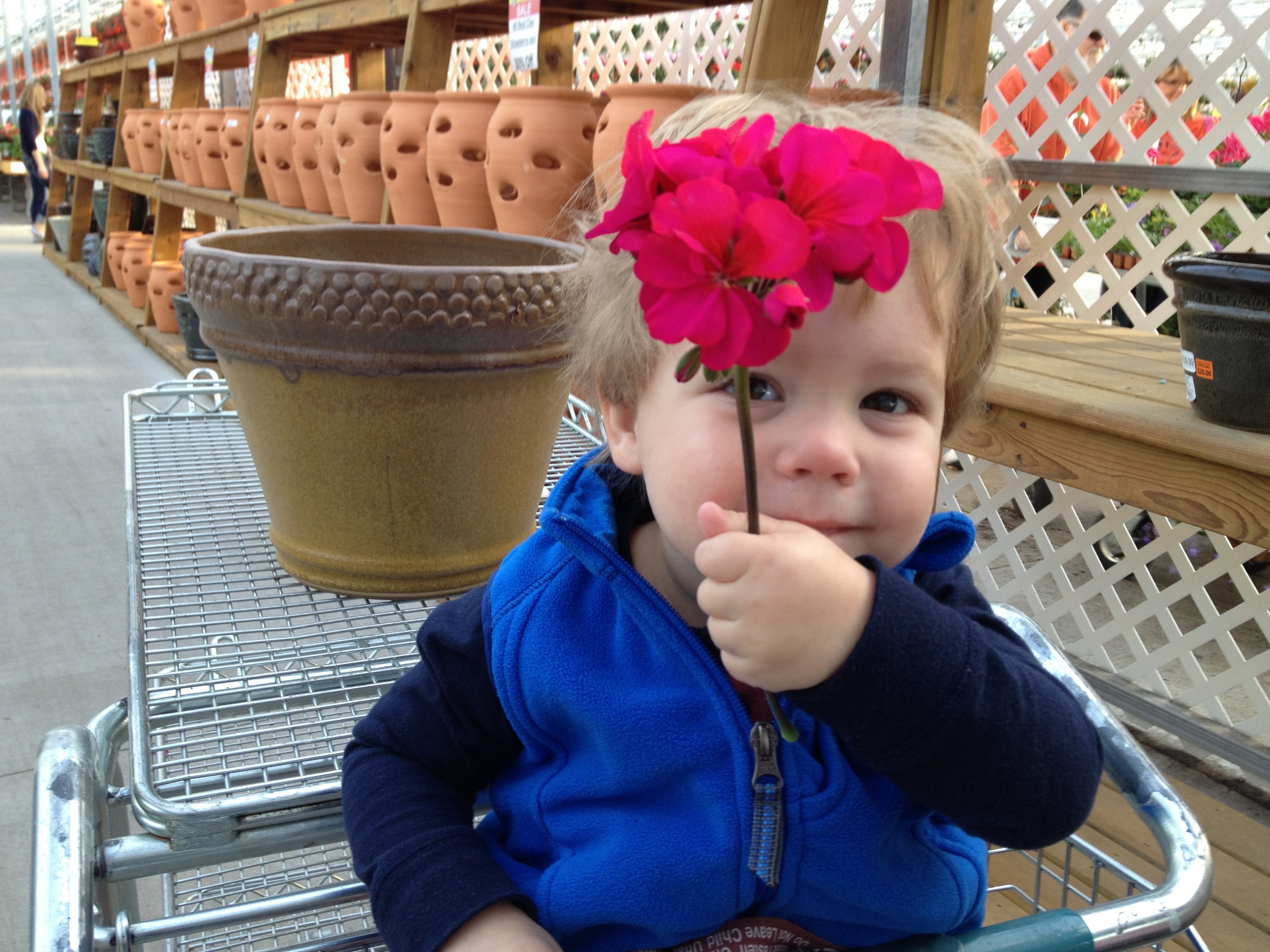my favorite little flower, with a flower ;)