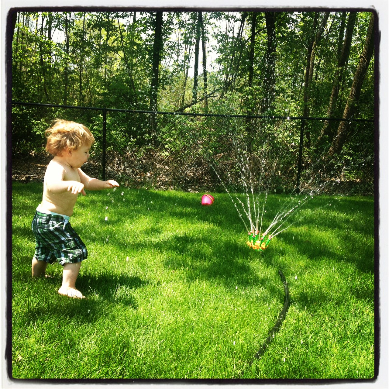 plaid shorts, baby chub, a sprinkler, and freedom. blissful.