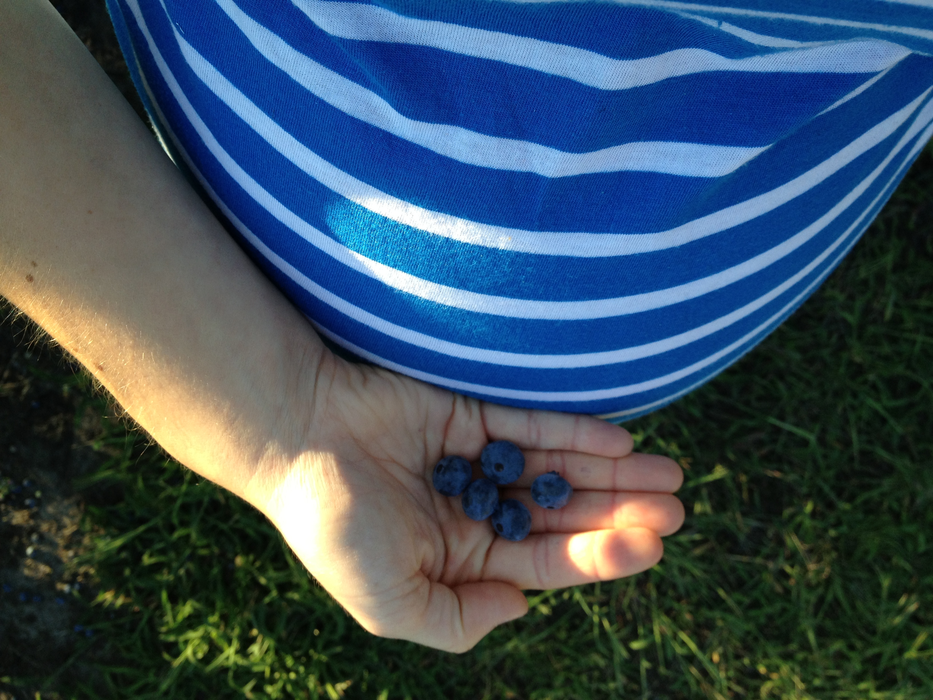 blue stripes, blueberries, baby bump. 