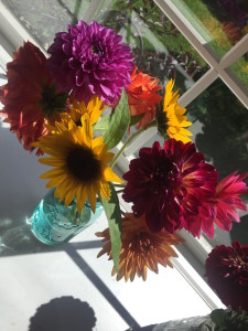 Summer blooms from the farmer's market. We'll miss these, too. 